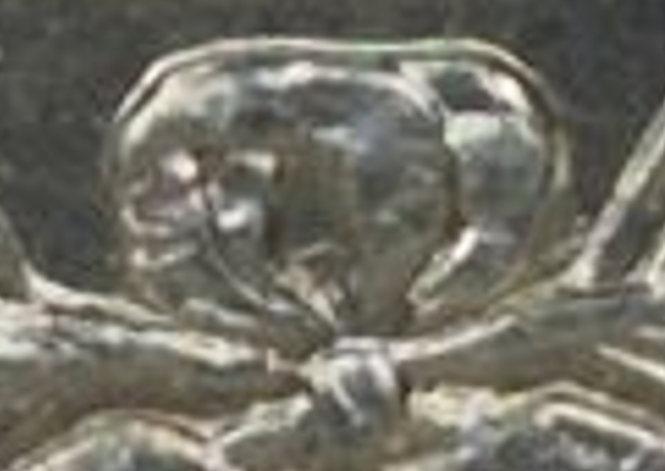 1884-$1-Morgan-Dollar-#3---12-Of-35,-VAMworld-Top-100---VAM-3
